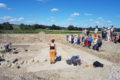 Visites guidées patrimoine néolithique