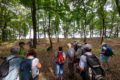 Visites guidées patrimoine néolithique