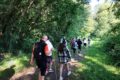 Visites guidées