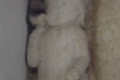 Saint-Angeau