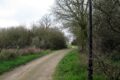 Lonnes